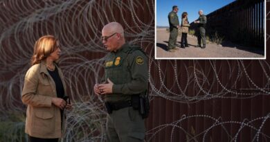 Kamala Harris makes first visit to southern border as Democratic nominee