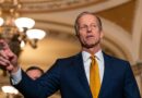 As leader race looms, John Thune takes Senate map by storm to boost GOP candidates