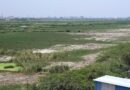 Bathymetric study underway in Pallikaranai marsh to improve ecological functions