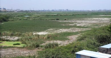 Bathymetric study underway in Pallikaranai marsh to improve ecological functions