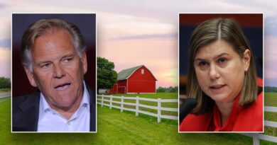 ‘Pretty damn significant’: Slotkin suffers blow in Michigan as farm bureau jilts Dems to endorse GOP candidate