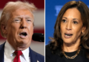 Harris narrowly beating Trump in six key battleground states: Polling