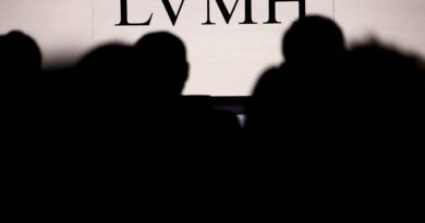 Some investors demand change at LVMH after probe into Dior contractors 