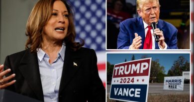 Kamala Harris is ‘underwater’ in Michigan, Dem rep claims