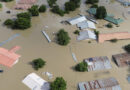 Deadly flooding in West and Central Africa leaves corpses of crocodiles and snakes floating among human bodies