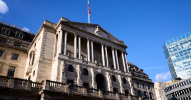 Why Bank of England is in no rush to lower interest rates – even though some think decision to wait is dangerous | Business News