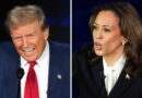 Where Trump and Harris stand on immigration and border security