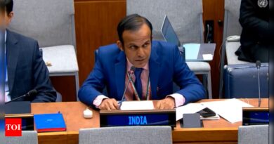 ‘Must be disappointed to see real democracy at work’: India slams Pakistan at UN | India News