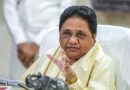 Uttar Pradesh Assembly bypolls: BSP announces candidates for eight seats