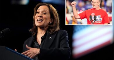 Harris tells Michigan supporters, ‘I will never tell you what car you have to drive’ 