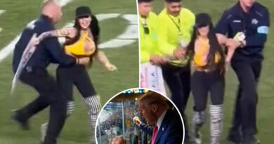 Woman runs onto field waving pro-Trump sign during Jets-Steelers game