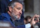 Cruz calls out McConnell-aligned group for not spending 'a penny' in Texas