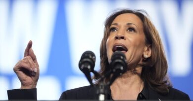 Allan Lichtman: October surprise 'huge myth,' Harris will win