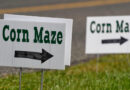 Up to your ears and getting lost: Data helps navigate U.S. corn mazes as Halloween nears