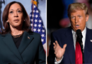 Harris leading Trump by 19 points in New York state survey