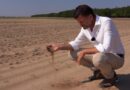 Romania's agriculture sector devastated by drought, desertification