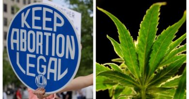 South Dakota voters divided over ballot measures on abortion, marijuana