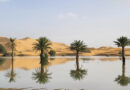 Rare deluge floods parts of the Sahara desert for the first time in decades