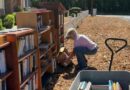 California woman takes little free libraries to another level