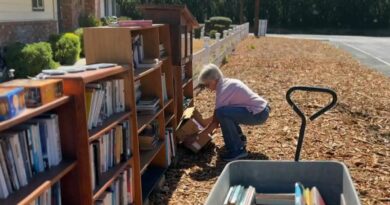 California woman takes little free libraries to another level