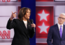 Harris stumbles on the border when pressed on illegal immigration: ‘Is a border wall stupid?’