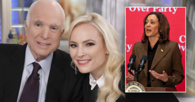 Meghan McCain calls out Kamala Harris over remarks about late Arizona Sen. John McCain