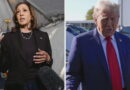 Harris, Trump trade barbs while campaigning in Michigan