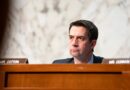 Cotton calls Trump special counsel filing 'a temper tantrum from a deranged fanatic' 