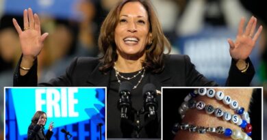 Harris ups her rhetoric against Trump after armed man arrested outside his Coachella rally