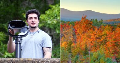 Virginia is first state to make leaf-peeping possible for colorblind guests in every park