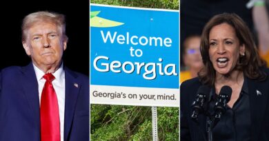 ‘Illegal, unconstitutional and void’: Georgia judge strikes down new election rules after legal fights