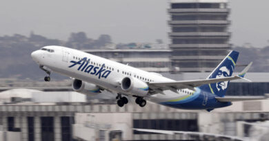 French bulldog dies on Alaska Airlines flight after downgrade to coach, lawsuit alleges