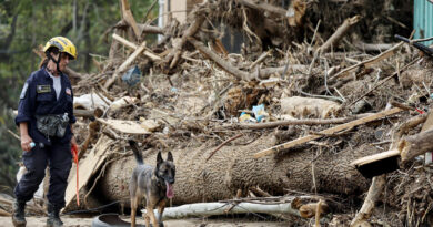 Misinformation has surged following Hurricane Helene. Here’s a fact check.