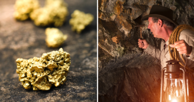 Top US states where you’re most likely to strike gold