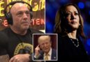 Joe Rogan says he gave Kamala Harris ‘open invitation’ for interview