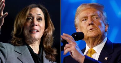 Harris’ struggles with Michigan’s working class voters provides opening for Trump, GOP