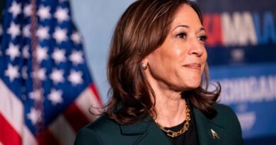 Fewer than 3 in 10 Georgia men back Kamala Harris for president: poll