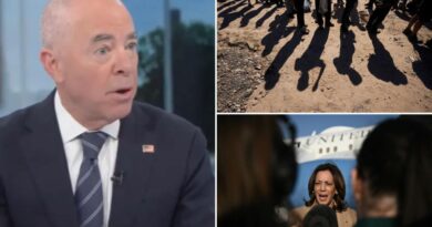 Mayorkas denies ‘preposterous’ claim Harris-Biden admin is trying to bring in migrants to help Democrats’ election chances