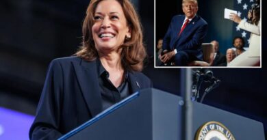 Democrats fear Kamala Harris being increasingly MIA during campaign home stretch