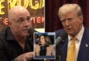 Trump tells Joe Rogan to endorse him in presidential election over Kamala Harris in interview