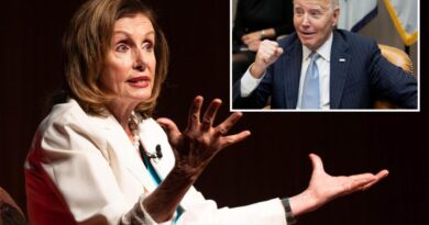 Pelosi admits having no contact with Biden since forcing him out of 2024 race