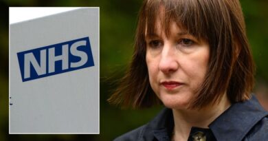 Rachel Reeves’s tax raid on pensions could cause ‘irreparable damage’ to NHS