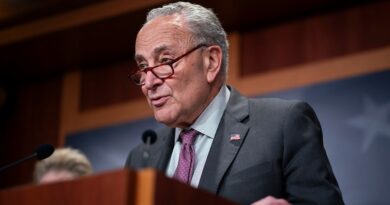 Schumer: Oct. 7 'will go down in infamy'