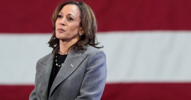 Senate Democrats running away from Harris in 'blue wall' states