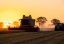 Food prices could rise due to Rachel Reeves’s farm inheritance tax change in budget, farmers warn | Politics News