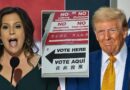 Trump, Stefanik campaign for vulnerable NY Republicans as Big Apple kicks off early voting