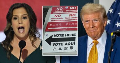 Trump, Stefanik campaign for vulnerable NY Republicans as Big Apple kicks off early voting