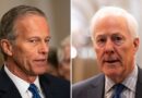 Thune, Cornyn look to clinch top leadership spot with campaign blitz