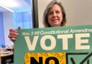 Wisconsin voters consider constitutional amendment barring noncitizens from voting