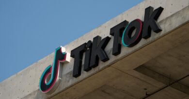 TikTok let through disinformation in political ads despite its own ban, Global Witness finds